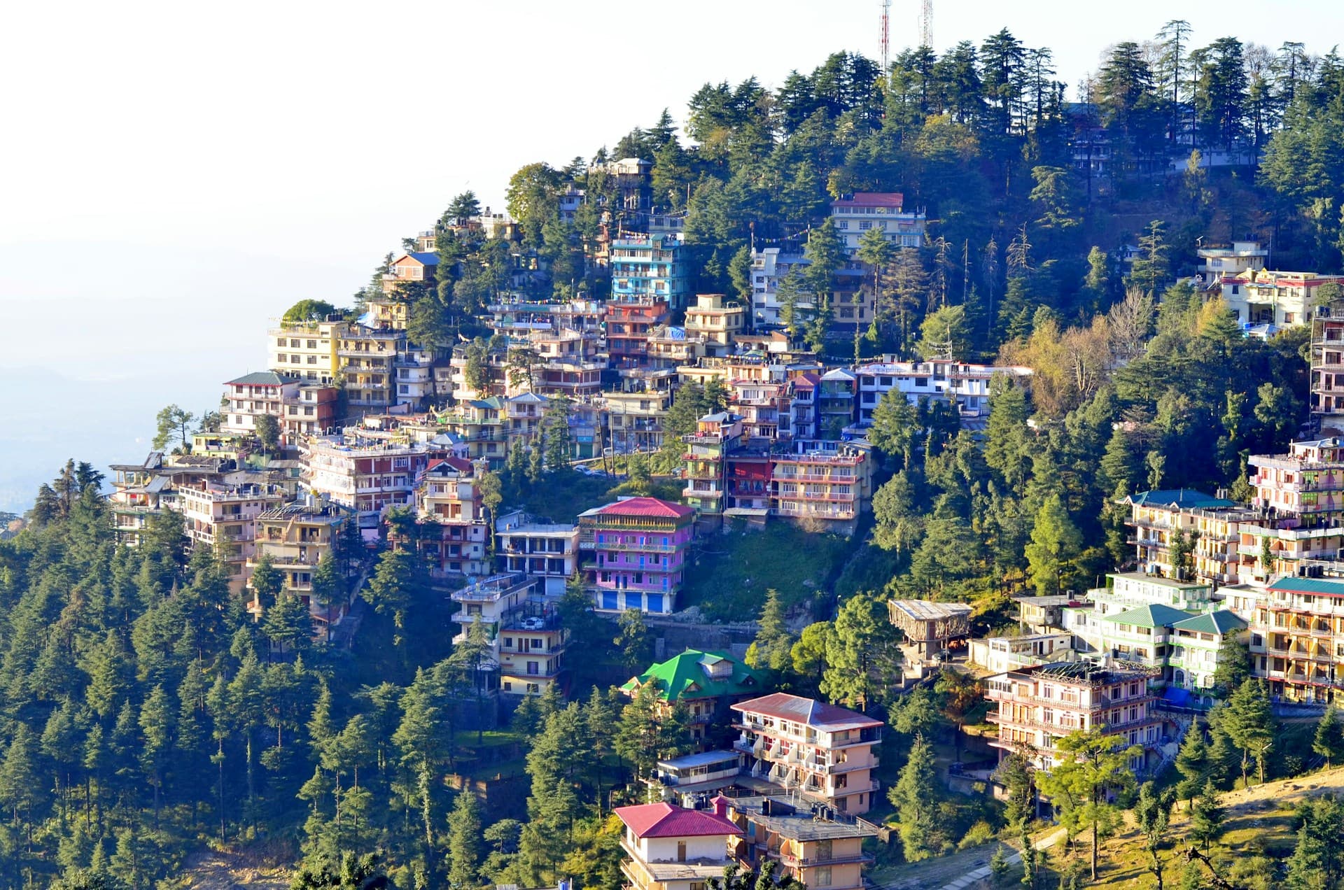 Shimla & Kufri Himalayan Escape