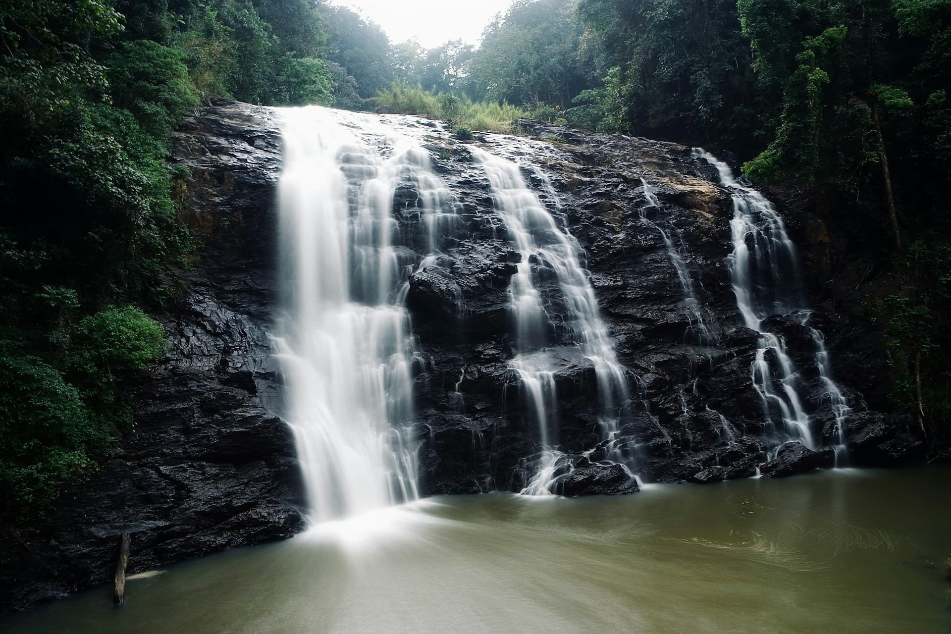 Mysore, Coorg & Ooty South Discovery