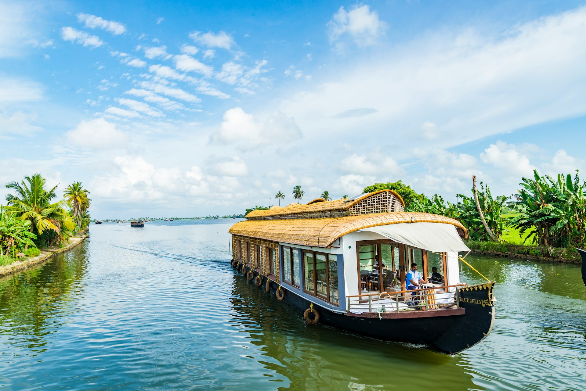 God's Own Kerala Backwaters & Tea Hills